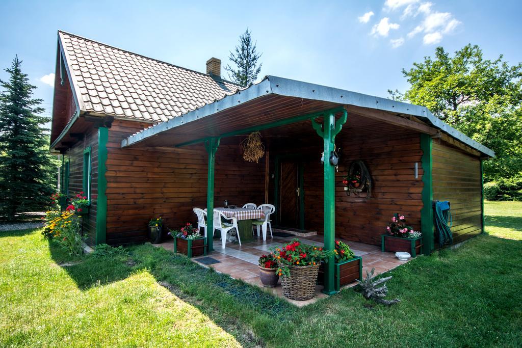 Gaja-Bialowieza Wiluki エクステリア 写真