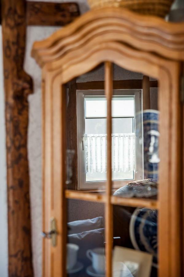 Gaja-Bialowieza Wiluki エクステリア 写真
